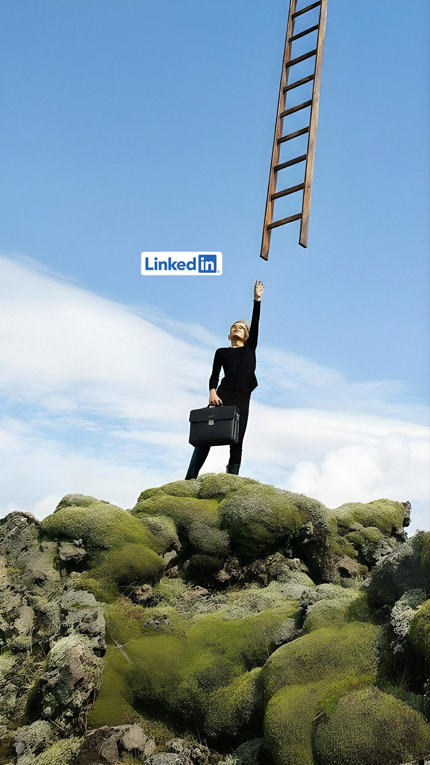 The 3 forces that drive long & successful careers
