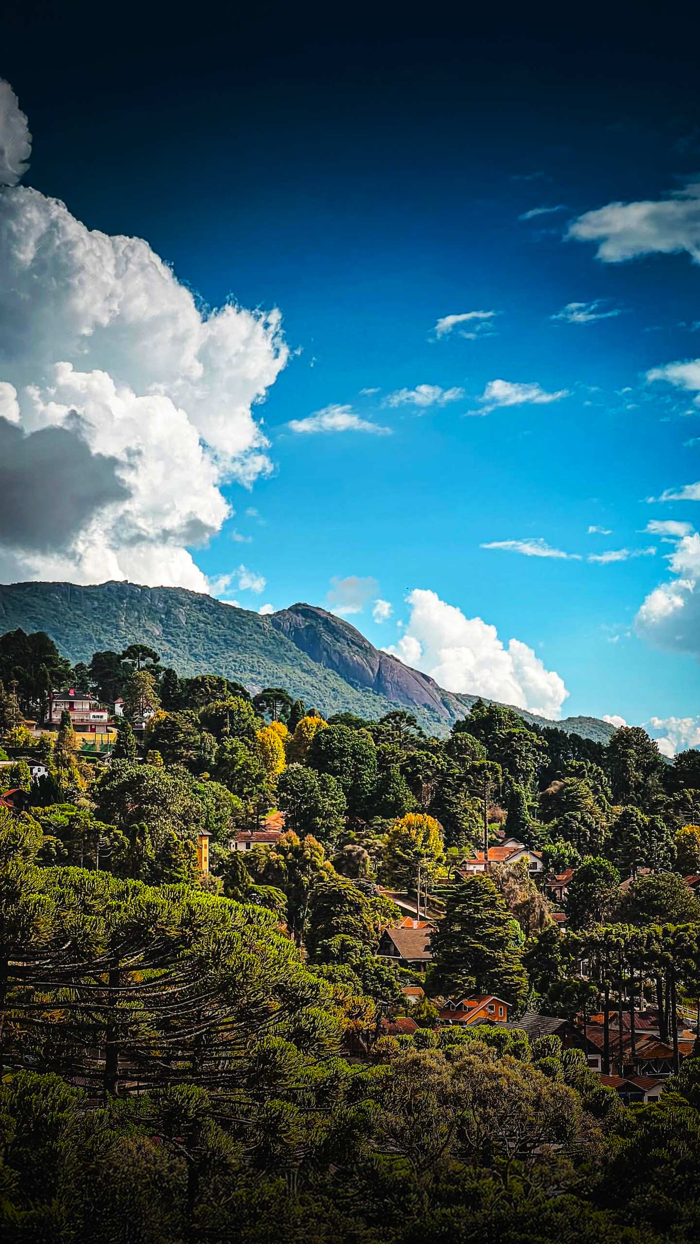 Monte Verde (MG) convida a descobrir a Mantiqueira na baixa temporada