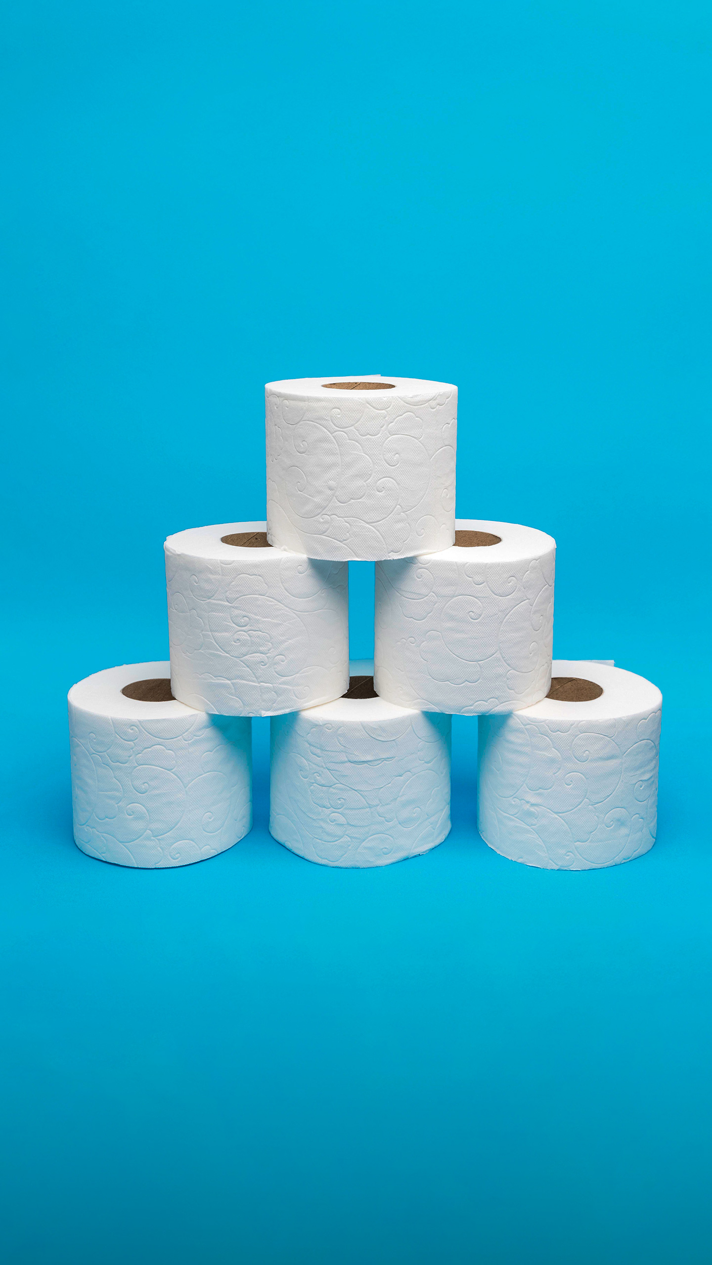 Esse é o motivo definitivo do porque o papel higiênico não deve ser jogado no vaso sanitário