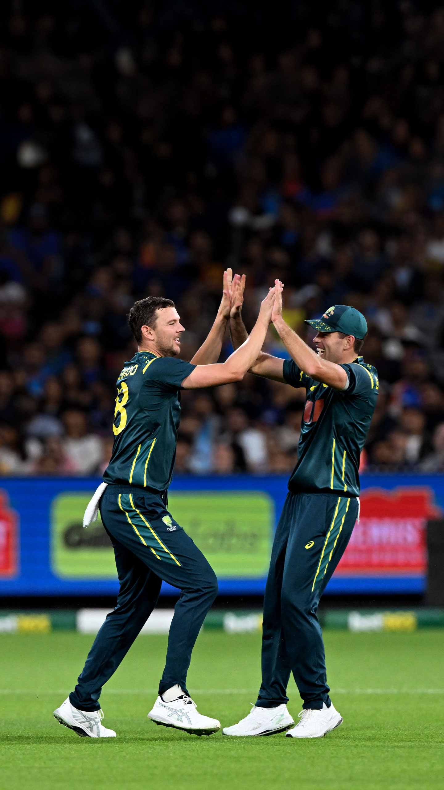 Will Josh Hazlewood be available for T20 World Cup?