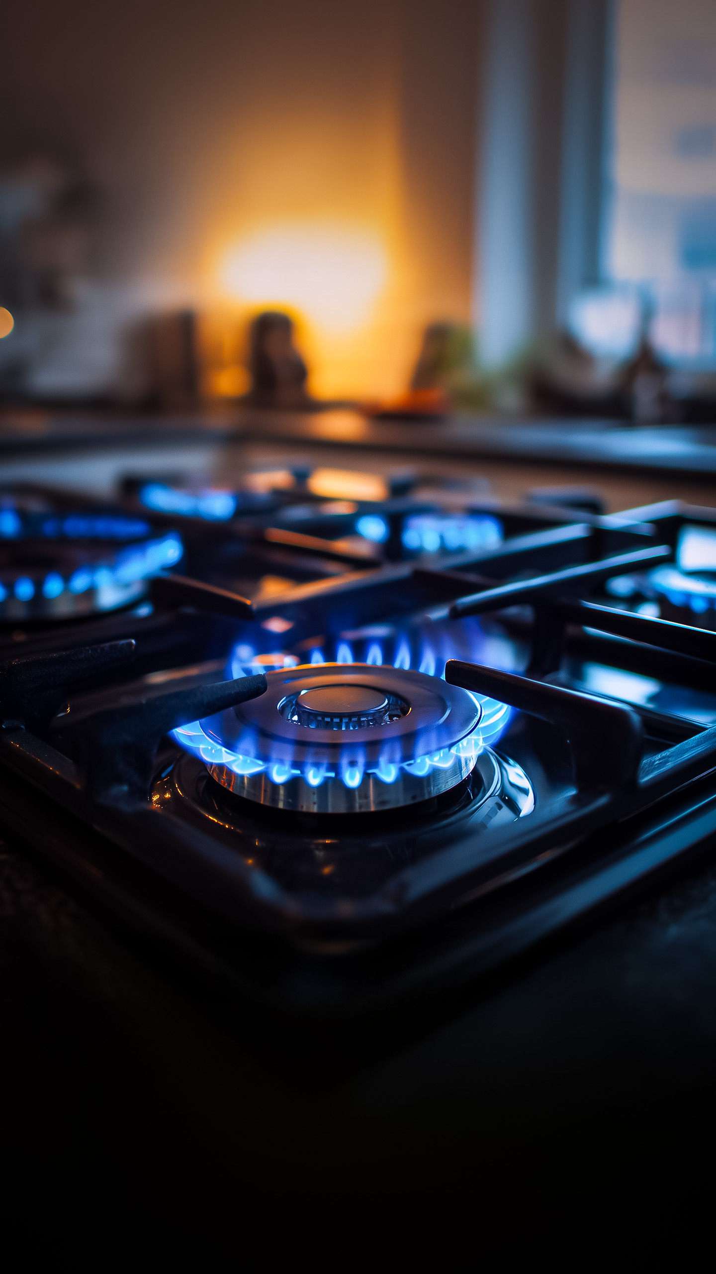 TN CM Stalin slams PM Modi for ''LPG unpreparedness''