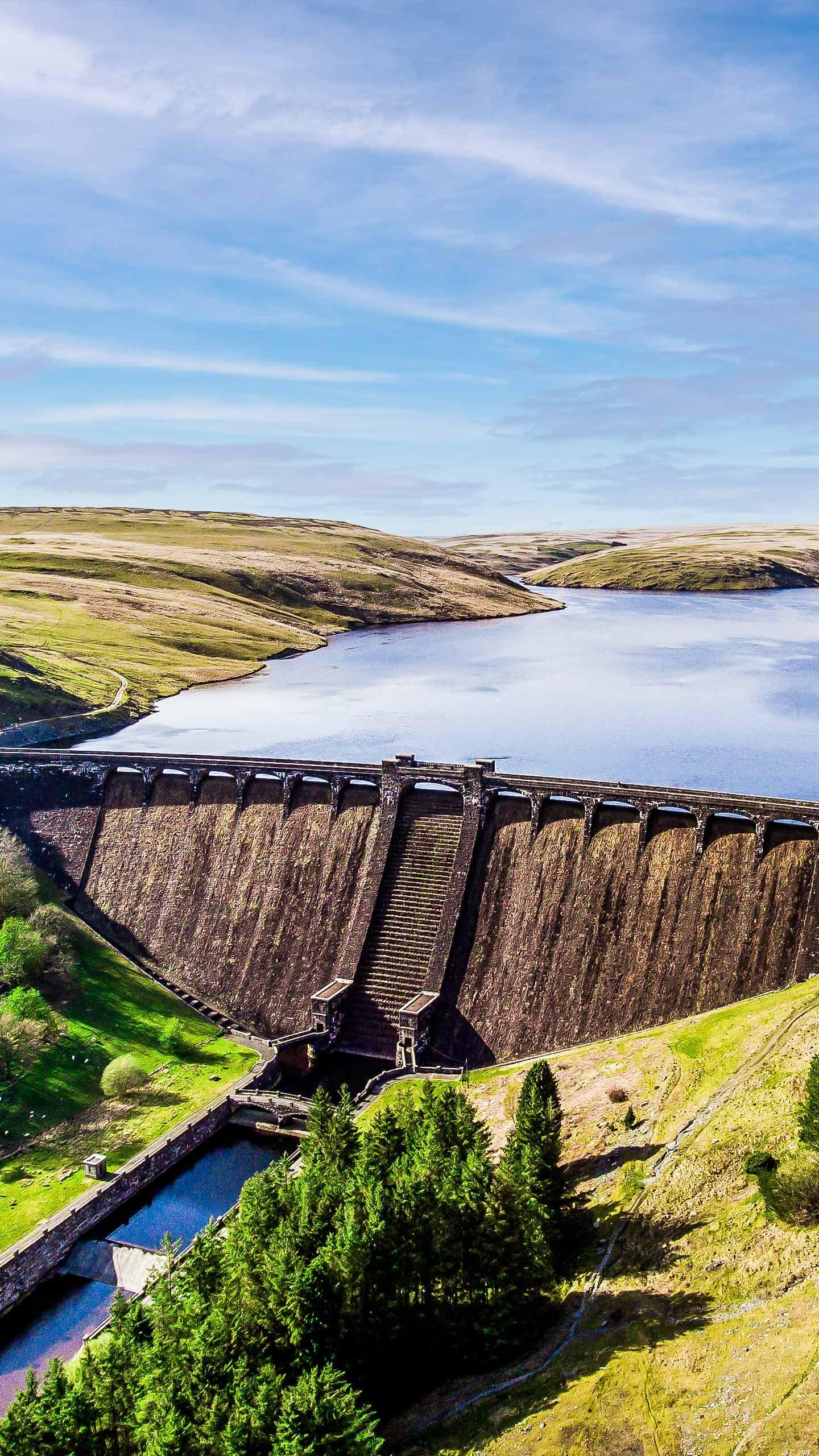 Rajasthan: Man, nephew drown in dam while trying to rescue buffalo