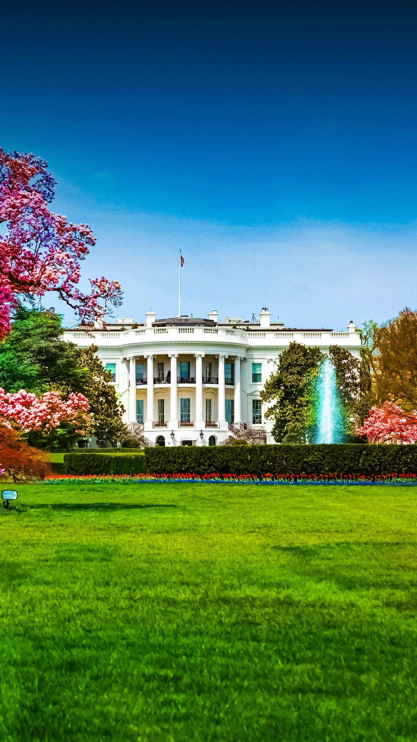 Democrats call for removal of Trump; push back from some Republicans too