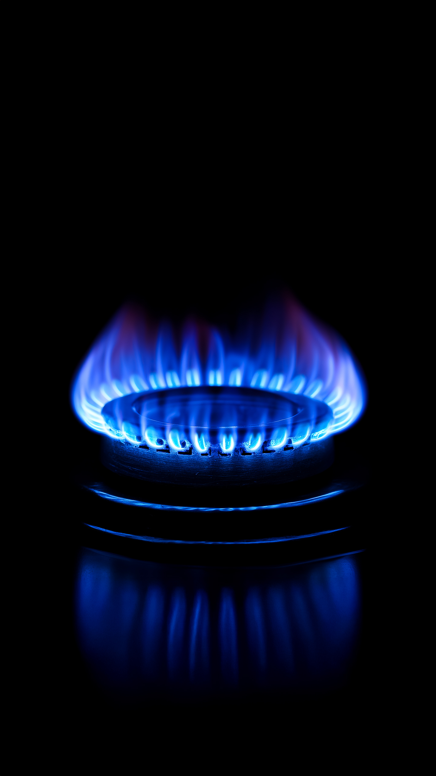 LPG crackdown: Goa govt carries out 363 raids, seizes 44 cylinders