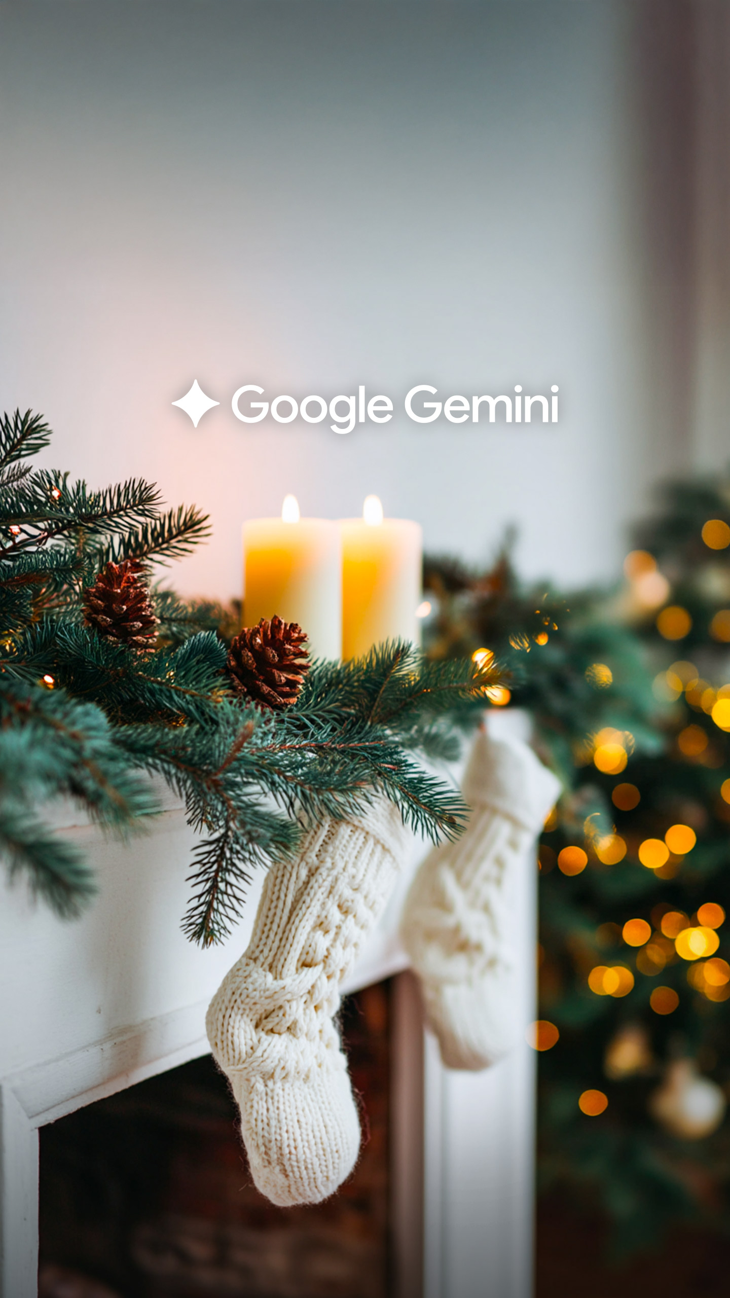 Indoor plants to decorate for the holidays