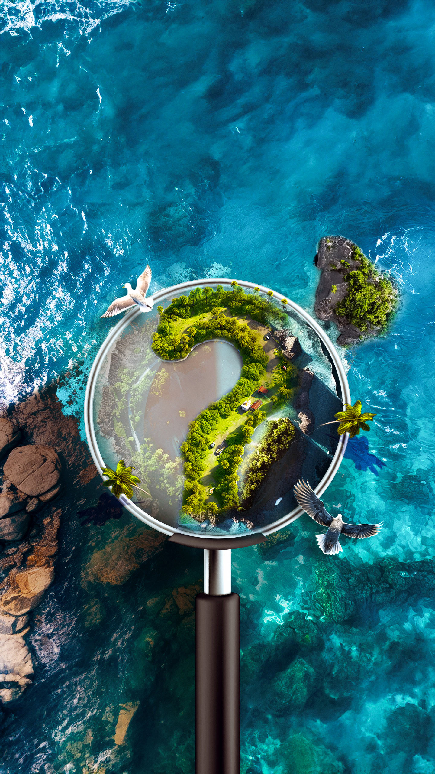 I have branches but no leaves or fruit. What am I?