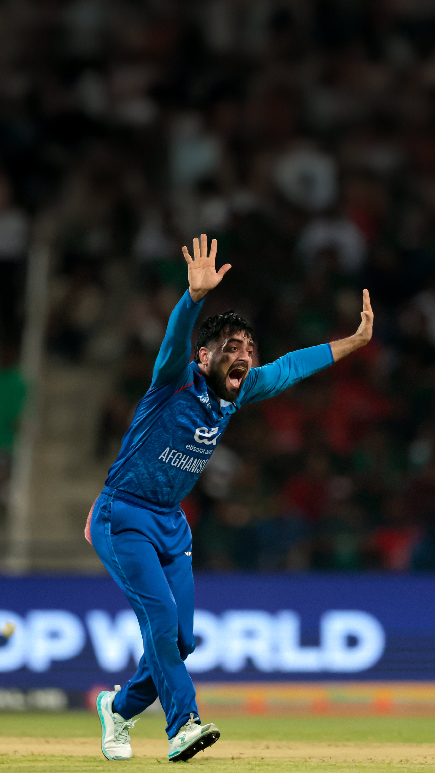 T20 World Cup: বিশ্বকাপের মঞ্চেই কি গড়বেন বিশ্বরেকর্ড? কী বলছেন রাশিদ খান?