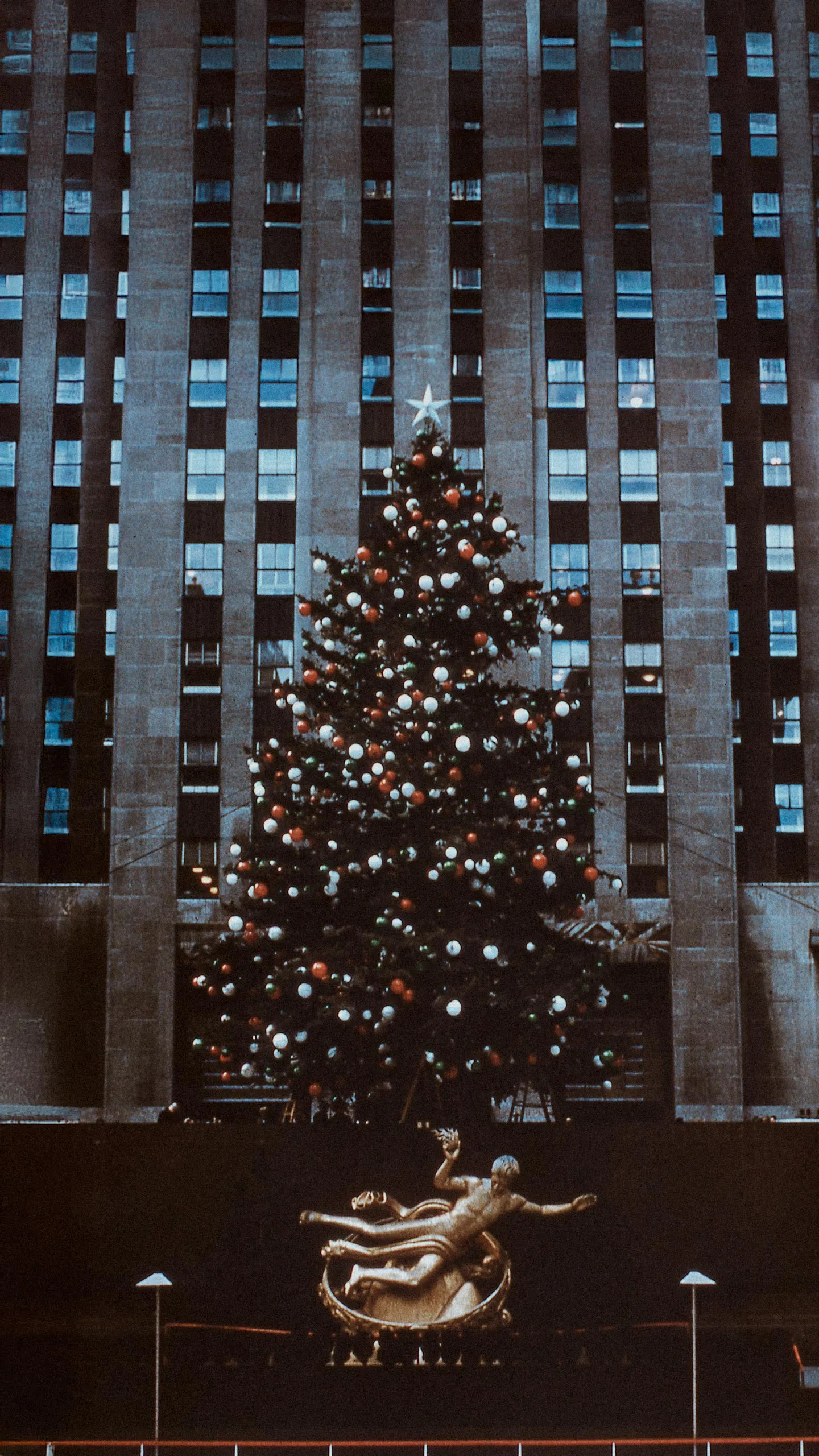 1956 Rockefeller Center Christmas Tree - 64ft White Spruce from Dalton, New Hampshire