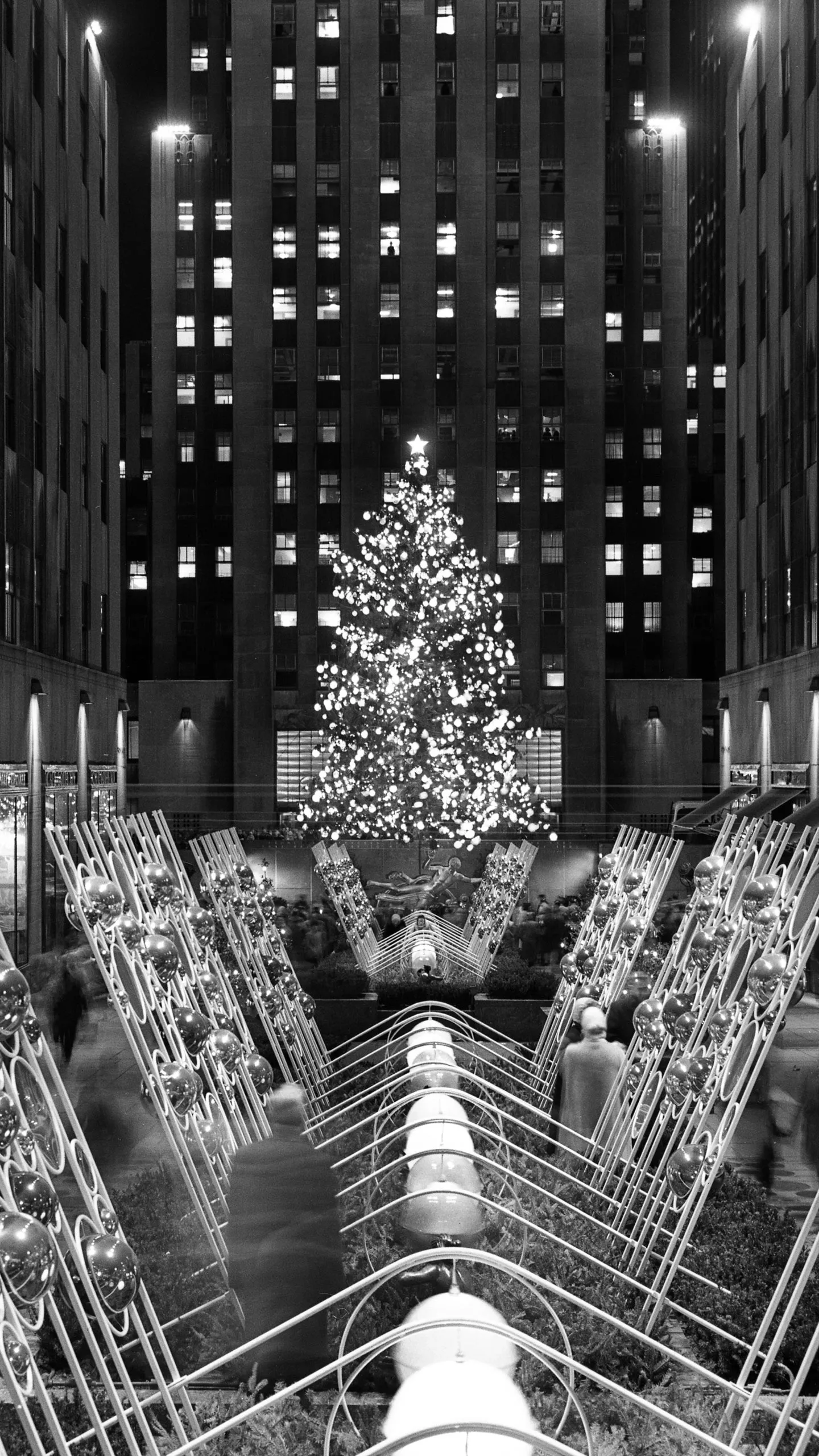 1960 Rockefeller Center Christmas Tree - 80ft Norway Spruce from North Harford, Pennsylvania