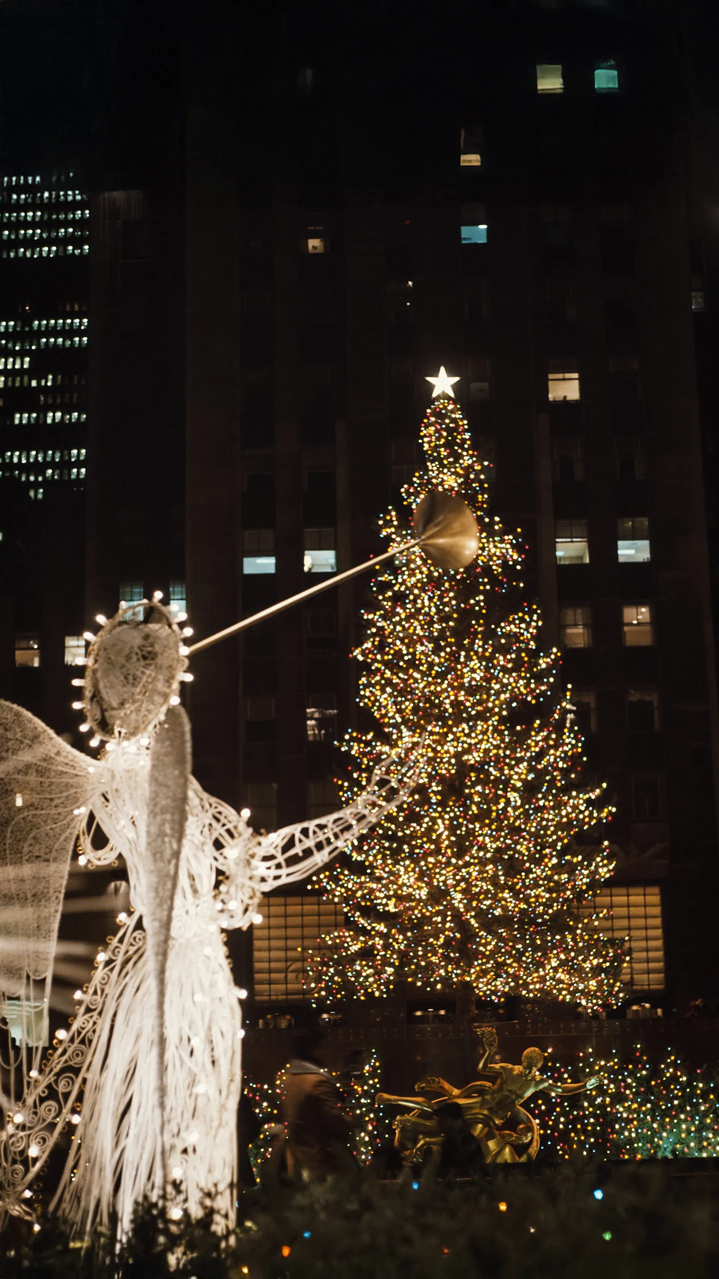 1970 Rockefeller Center Christmas Tree - 60ft White Spruce from Coventry, Vermont