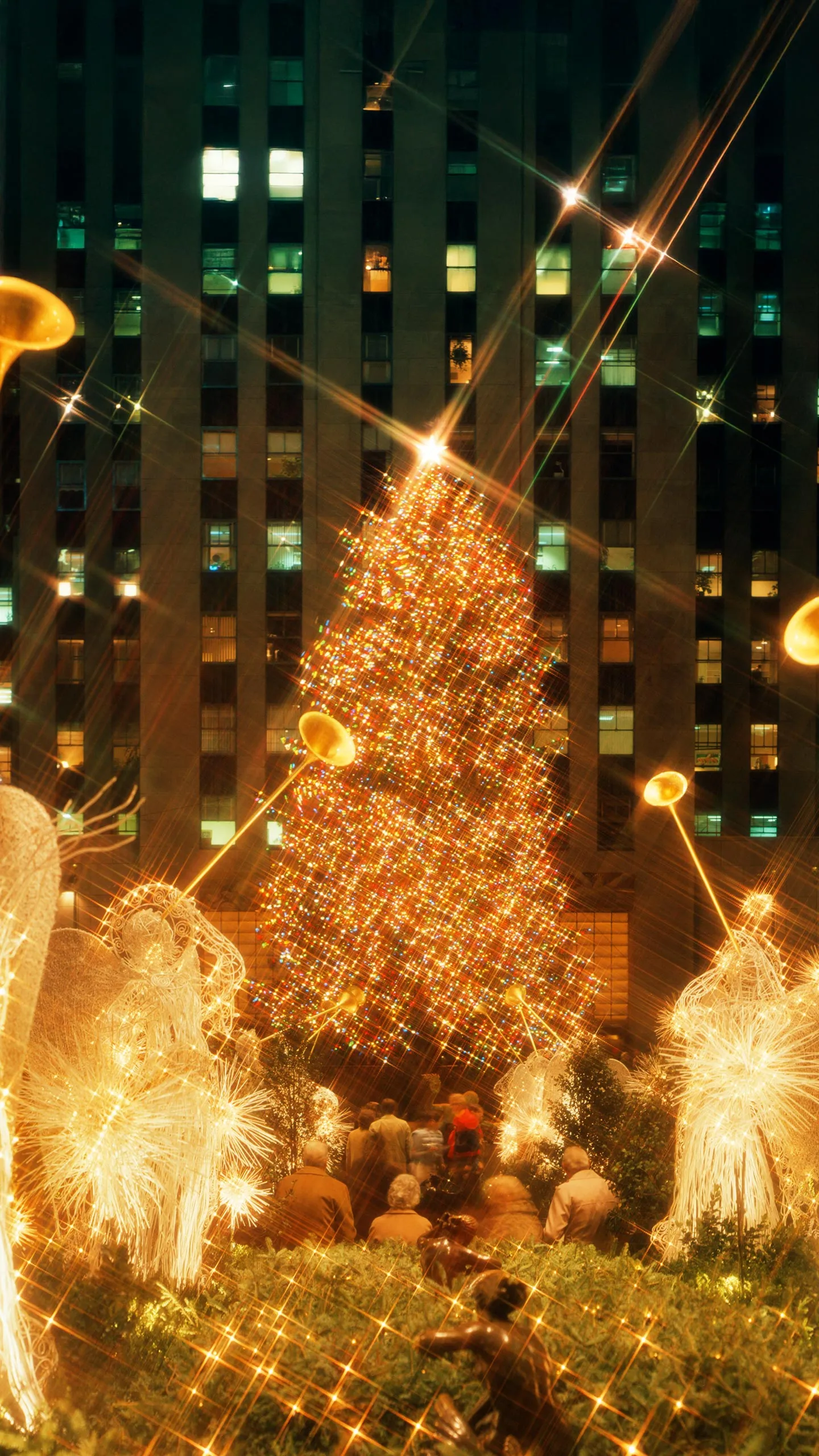 1980 Rockefeller Center Christmas Tree - 70ft Norway Spruce from Mahwah, New Jersey