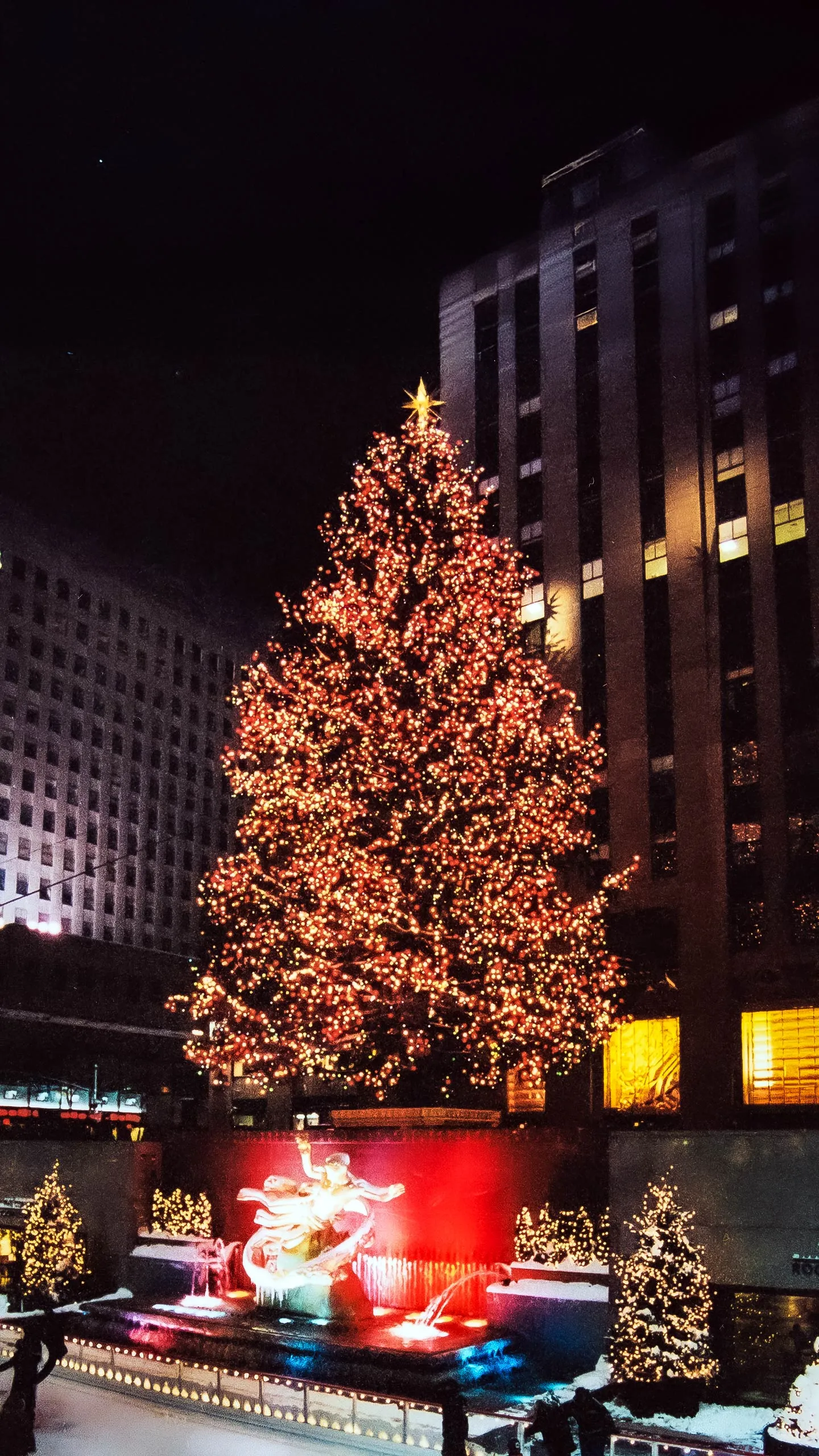 2000 Rockefeller Center Christmas Tree - 80ft Norway Spruce from Buchanan, New York