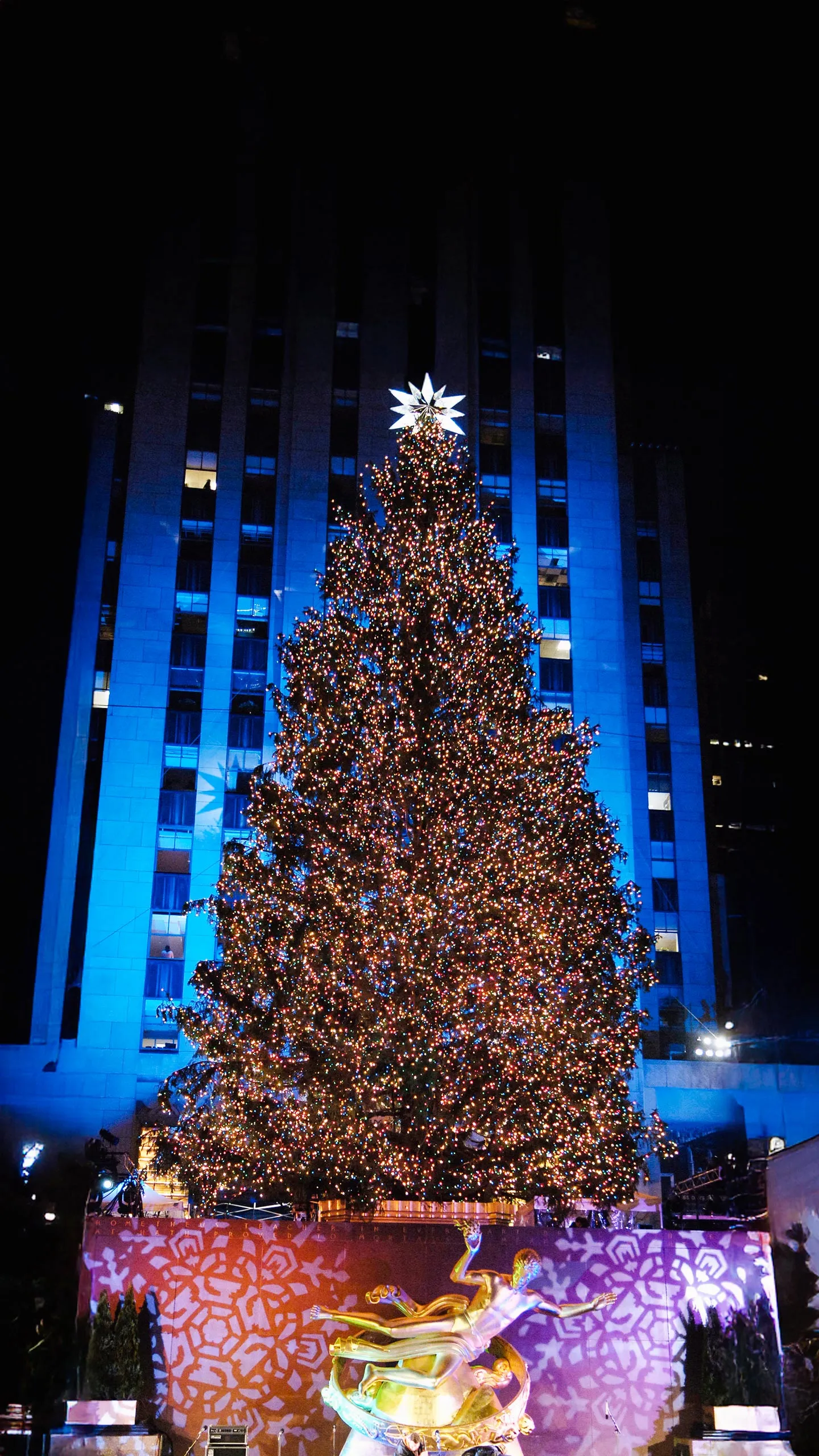 2005 Rockefeller Center Christmas Tree - 74ft Norway Spruce from Wayne, New Jersey