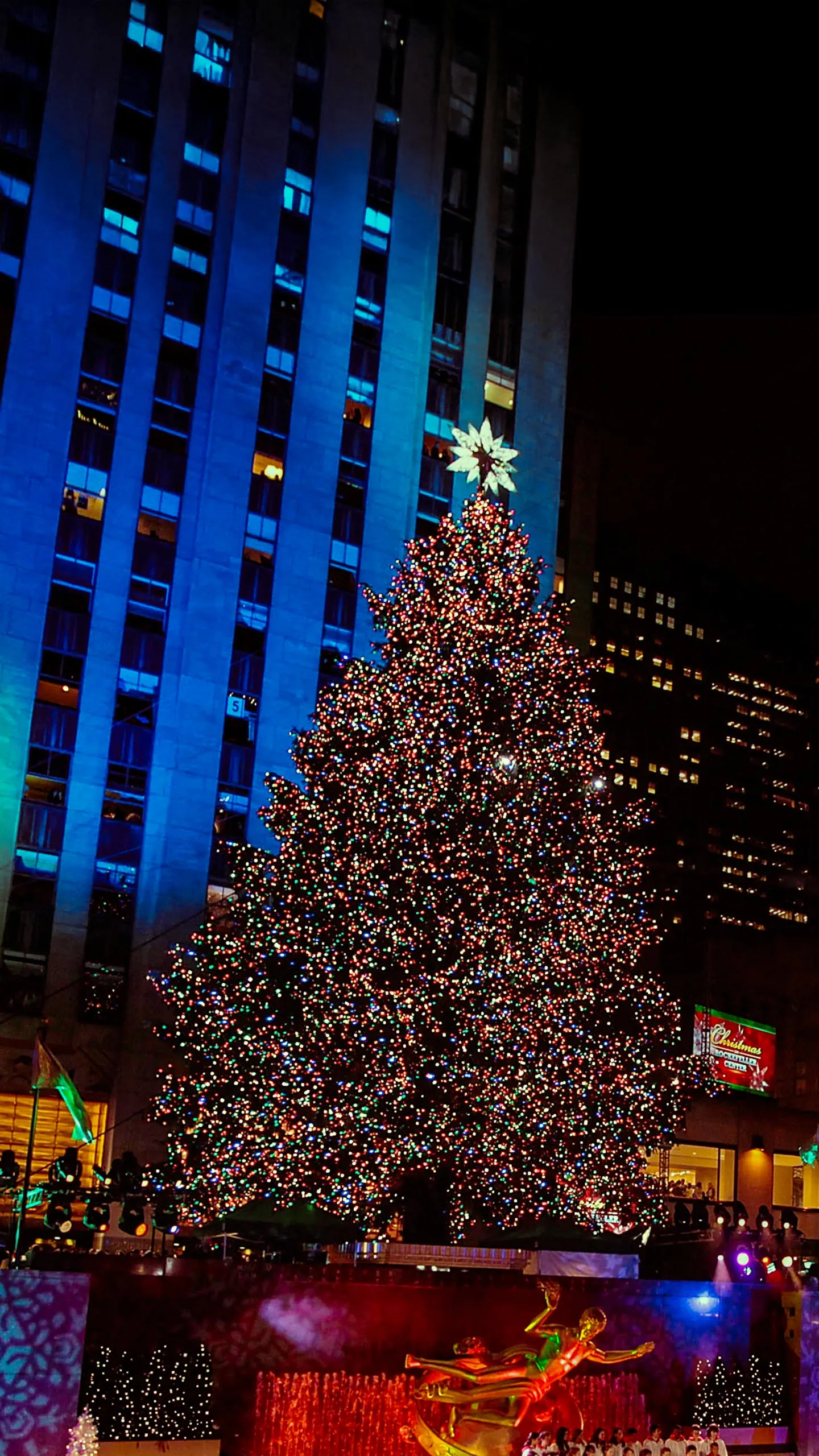 2010 Rockefeller Center Christmas Tree - 74ft Norway Spruce from Mahopac, New York