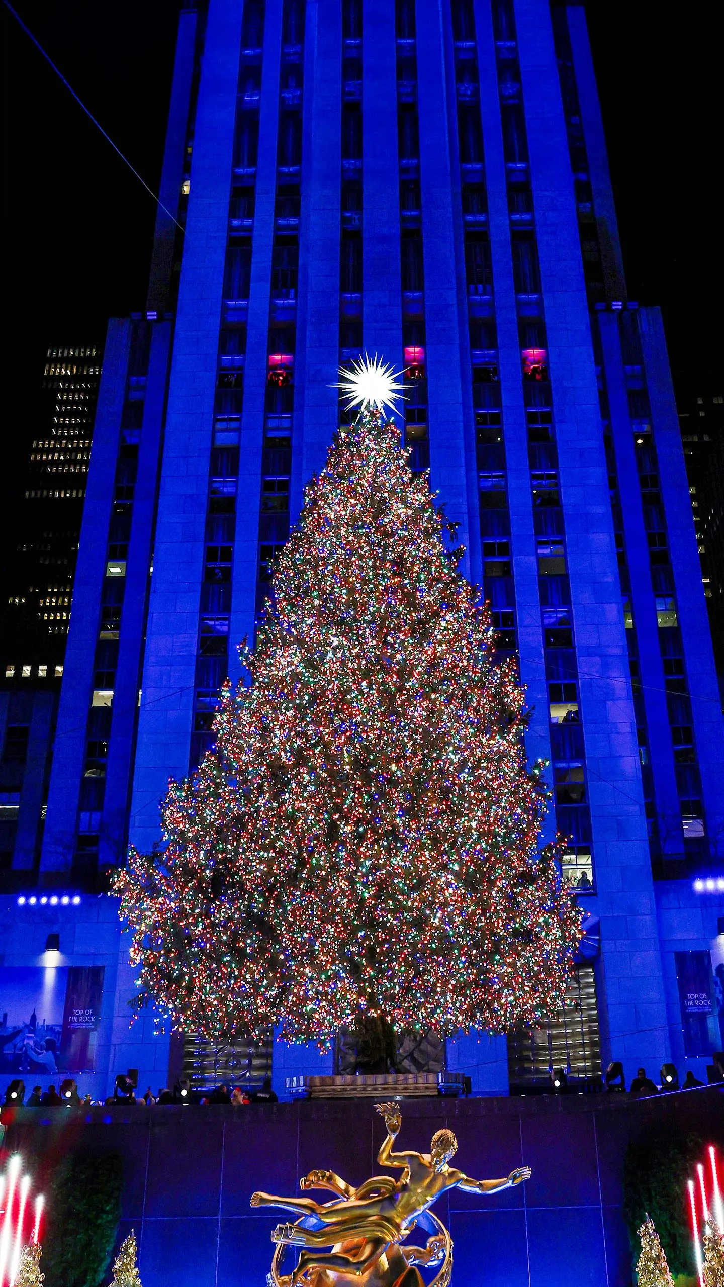2025 Rockefeller Center Christmas Tree - 75ft Norway Spruce from East Greenbush, New York