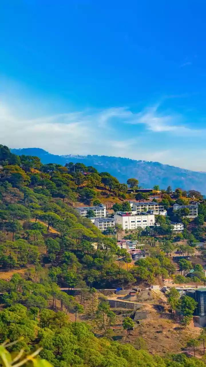 Bhumi Pednekar's Sustainable Escape: A Glimpse into Kasauli's Rs 1.5 Lakh Eco-Luxury Retreat