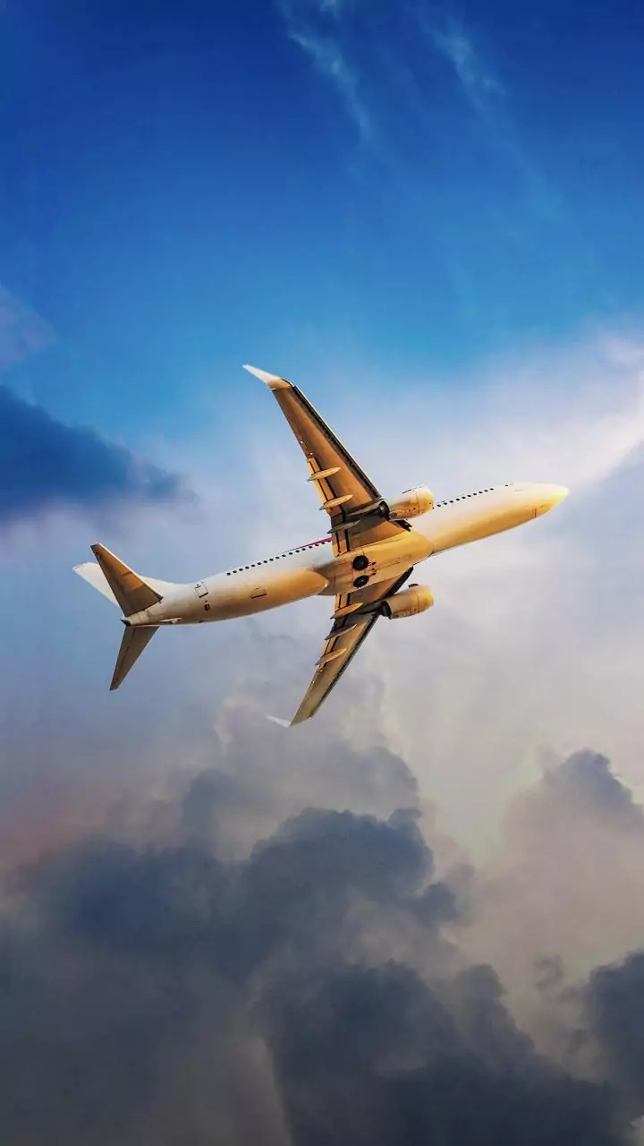 Neelesh Misra calls out IndiGo for mistreating his daughter