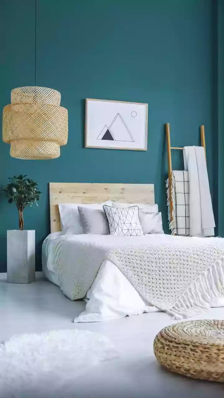 Household Replacement Guide: Freshness & Hygiene in the Home