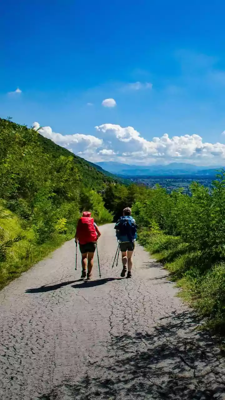 Unlocking Grit: How Adventures in Nature Forge Resilient Kids