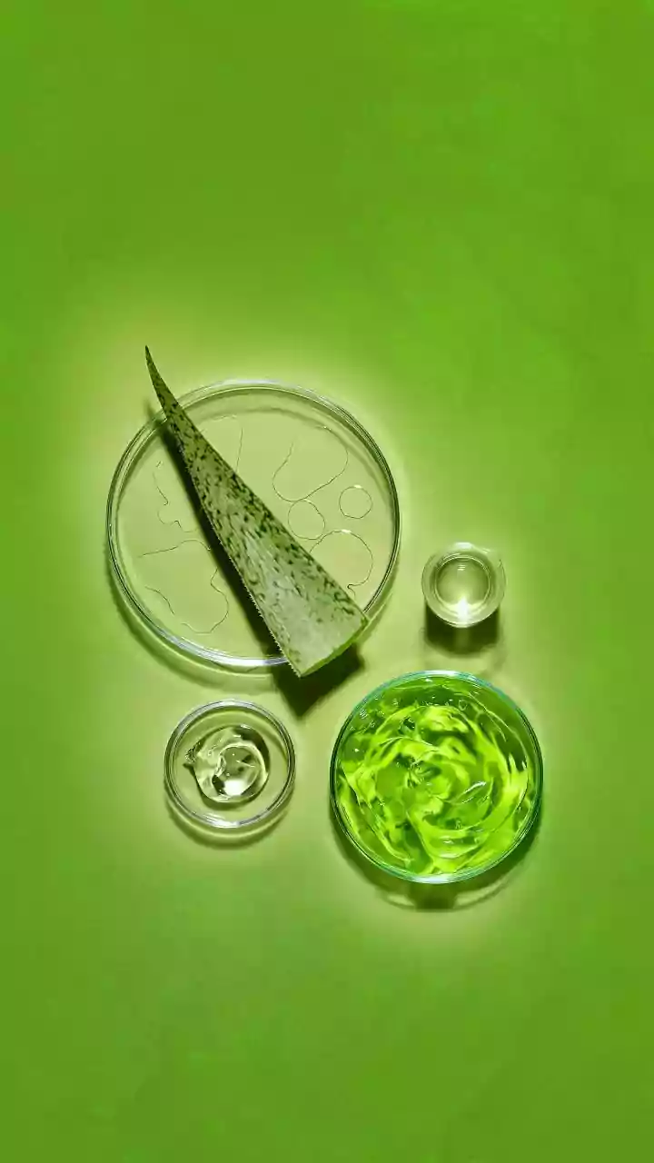 Scientists just watched plants"breathe"in real time for the 1st time