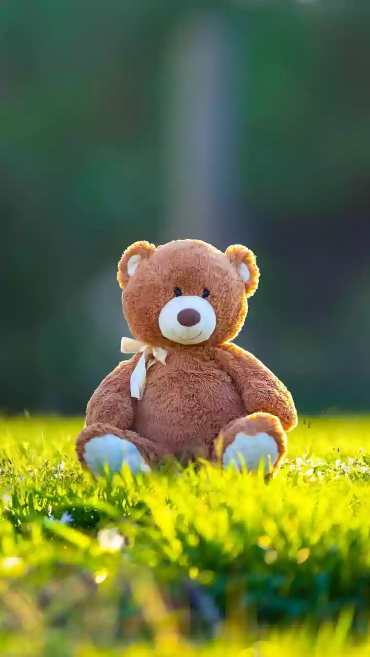 Celebrate Teddy Day 2026: Heartwarming Wishes & Messages for Your Beloved