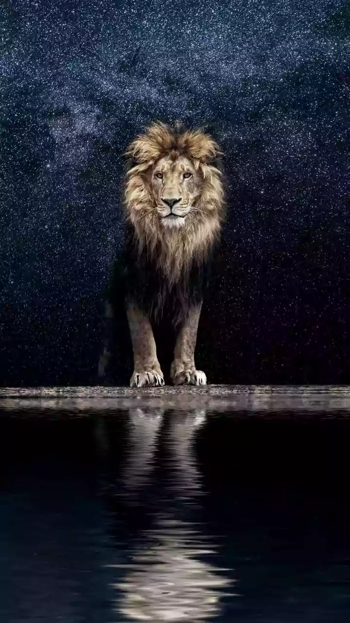 Leo Horoscope Today, March 13, 2026