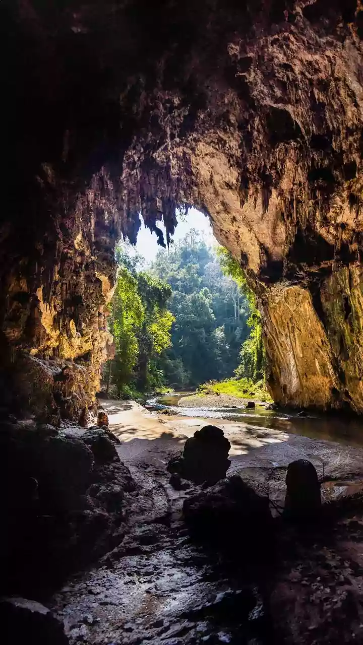Spiders' Sulphur Cave City: A Web of Wonders