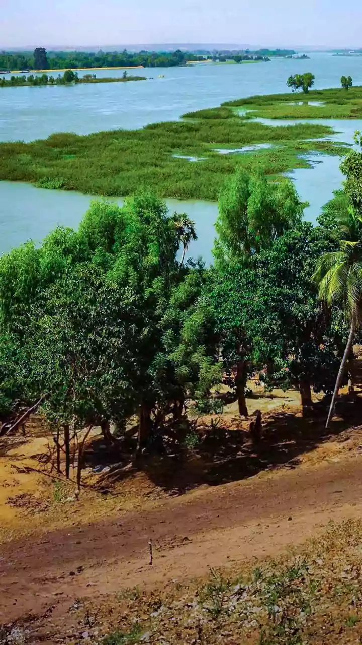 3 drown while bathing in Sharda River on Mauni Amavasya in UP's Pilibhit