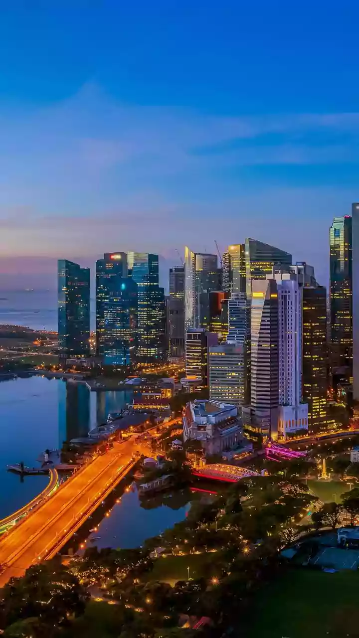 Singapore businesses keen to explore opportunities in India's green energy, other sectors