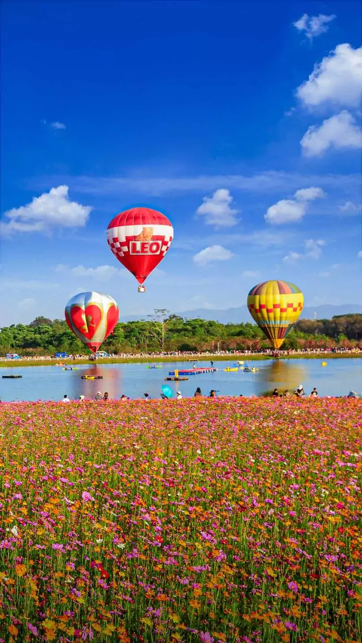 Delhi limits hot-air balloon rides to weekends amid low turnout