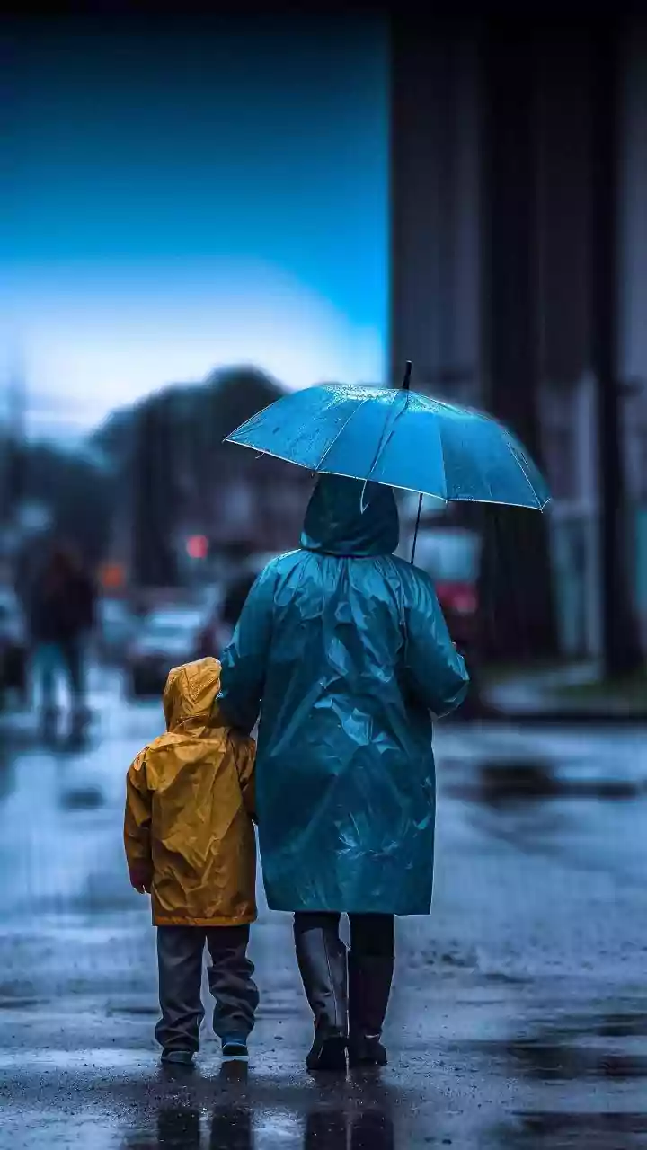 Create A Monsoon Safety Routine Around Shelter, Identification And Supervision