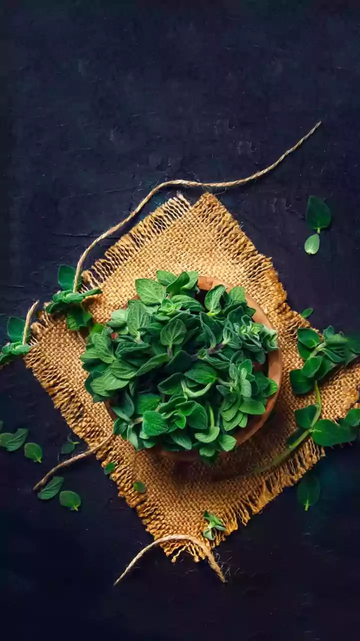 Jute Leaves: Unveiling the Nutritional Powerhouse of African Superfood Molokhia