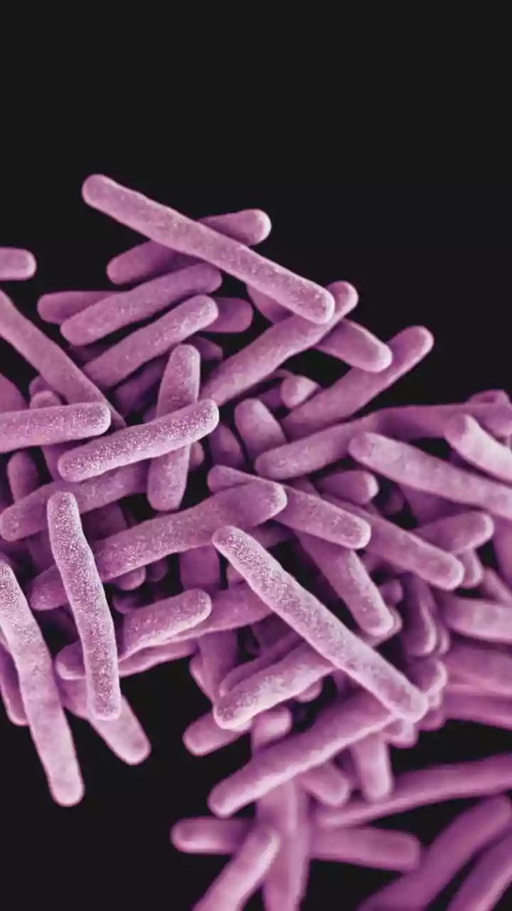AI-designed virus can kill E. coli—What does it mean?