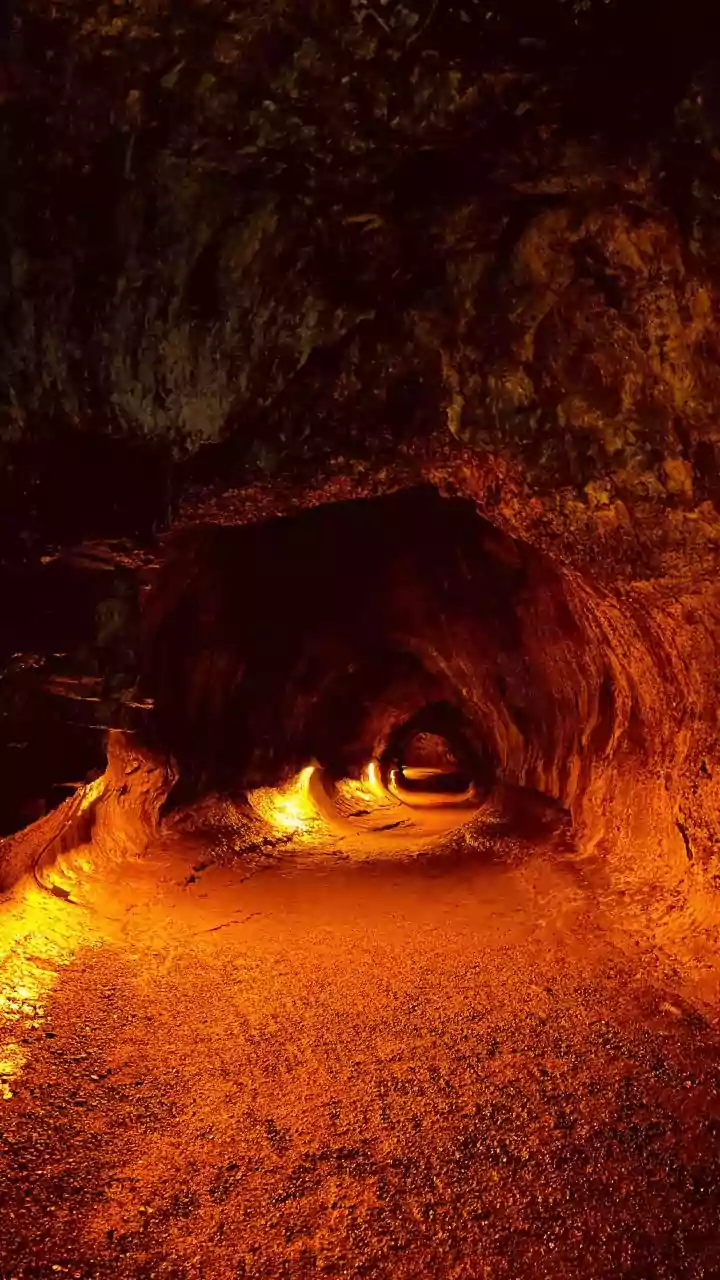 Scientists Plan To Look For Underground Shelters: NASA's Selected Moon Base Investigations In Focus