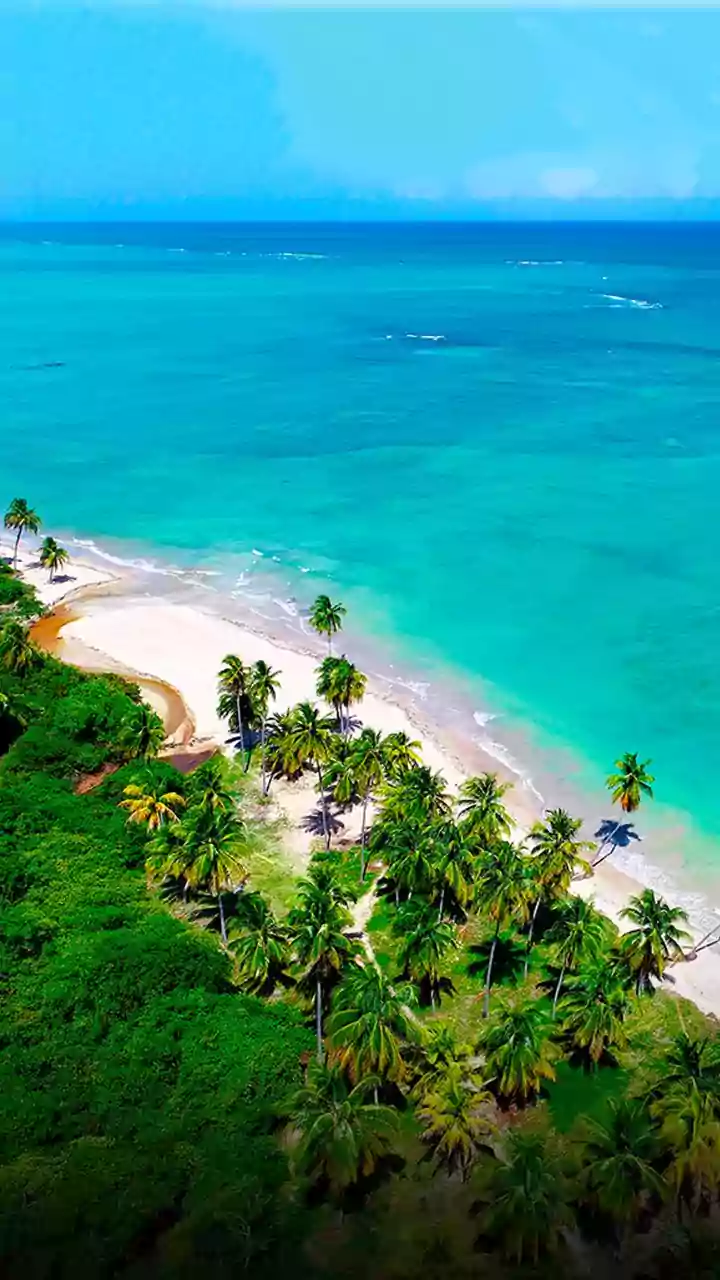 Warm-winter cities with gentle December nights