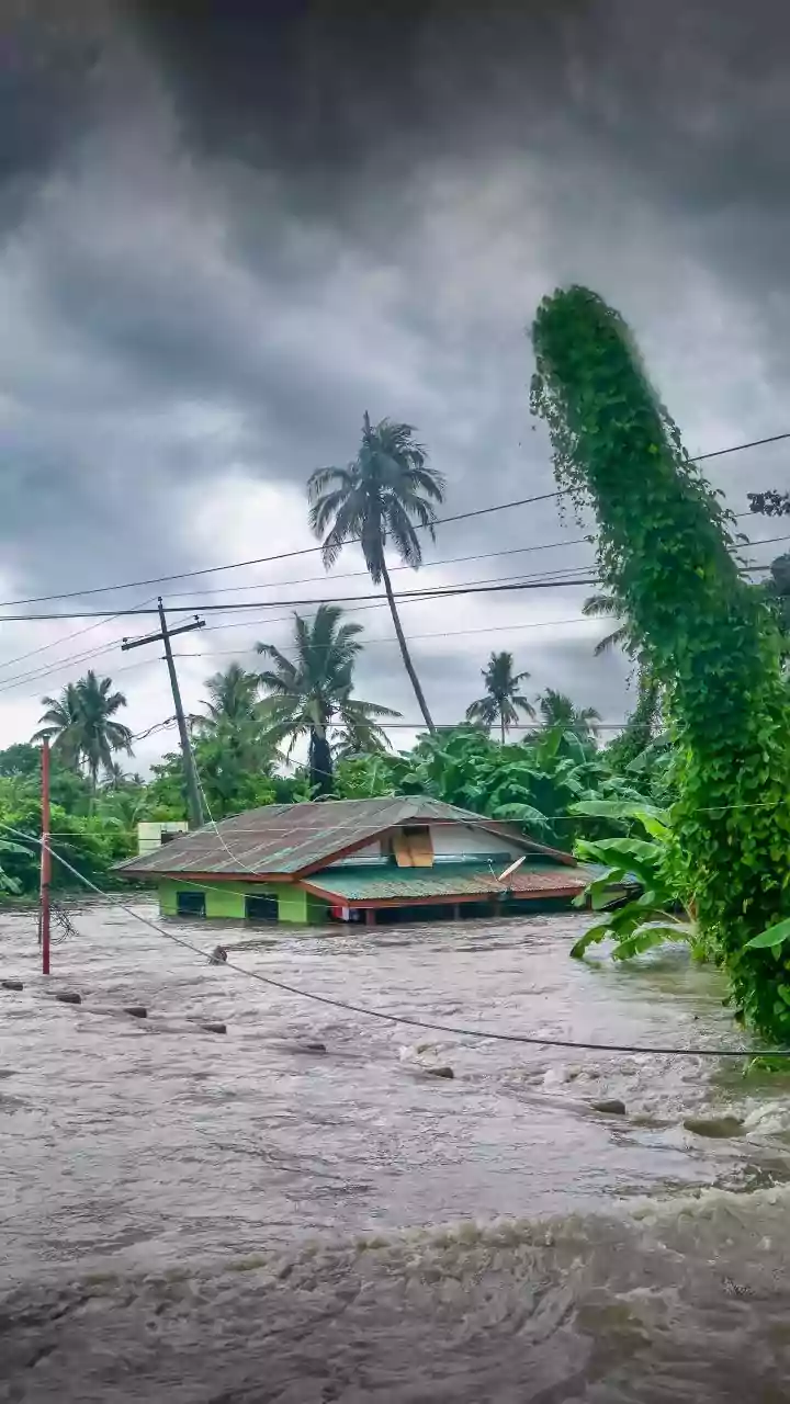Assam July floods kill 104 and damage over 26,000 houses