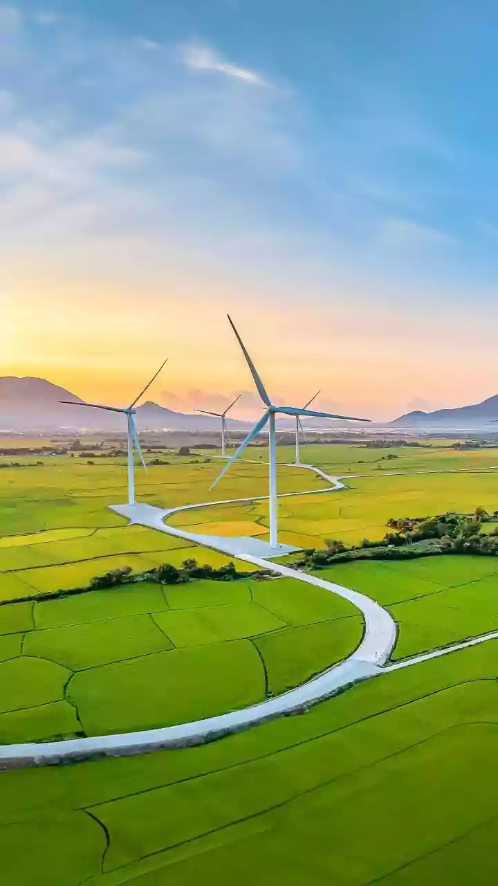 Why Off-Grid Solar Storage Units Are Transforming Rural Rose Supply Chains