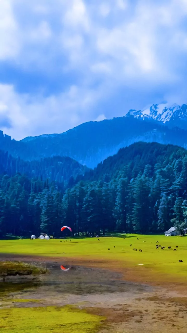 Himachal CM reviews progress of APAR software development