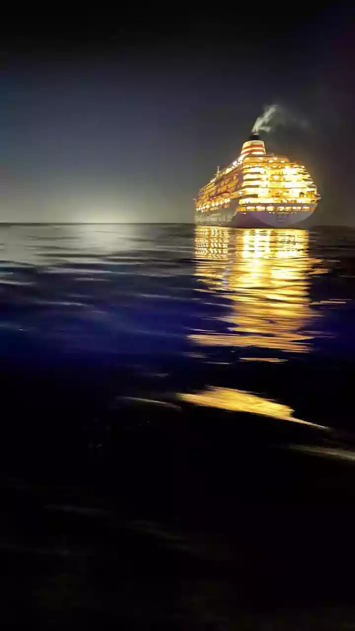 Understanding Hantavirus and Its Connection to Recent Cruise Ship Outbreak