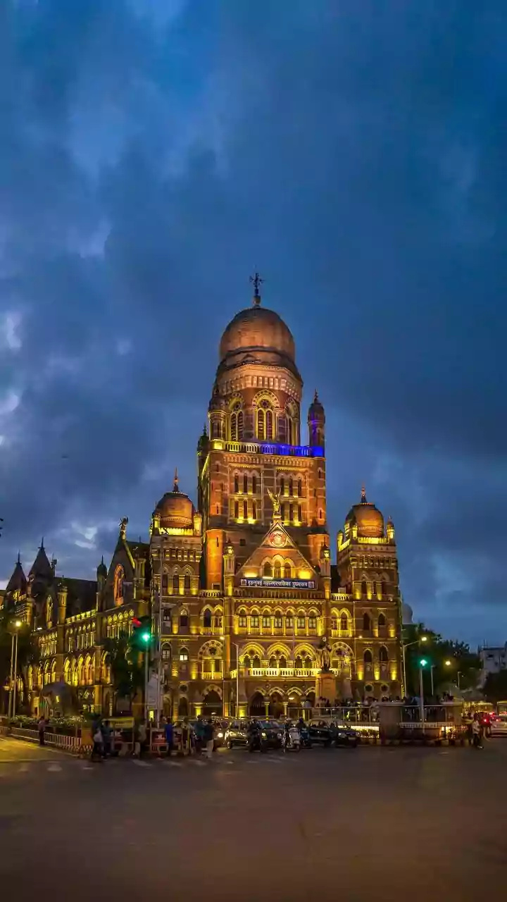 Thackeray cousins reunite for BMC elections after 20 years