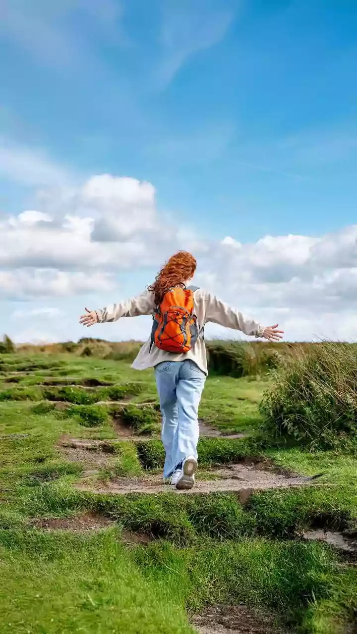 Purpose-Free Travel: The Latest Position
