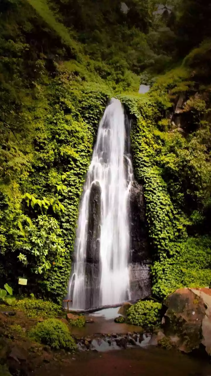 Why Offbeat Monsoon Drives To Bhandardara Waterfalls Are Popular Near Mumbai