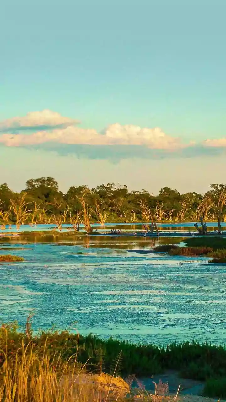 The News Around India's Latest Ramsar Addition Makes Water And Climate Security Worth Checking