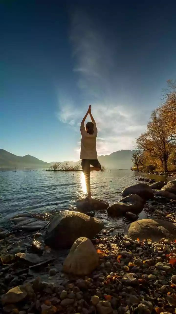 How Ancient Indian Traditions Shaped Yogas Rise As A Global Lifestyle Choice