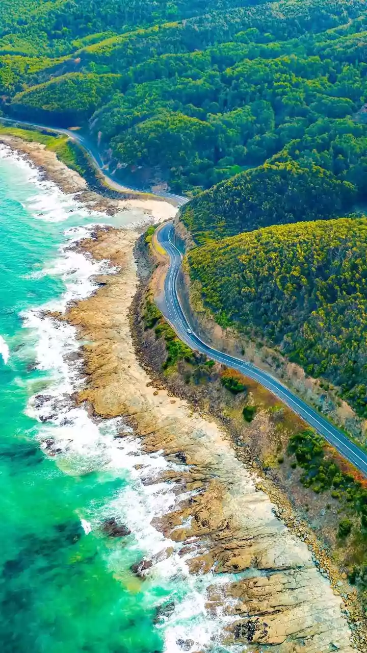 Queensland's Reef-and-Rainforest Route Gains Ground Among Indian Visitors