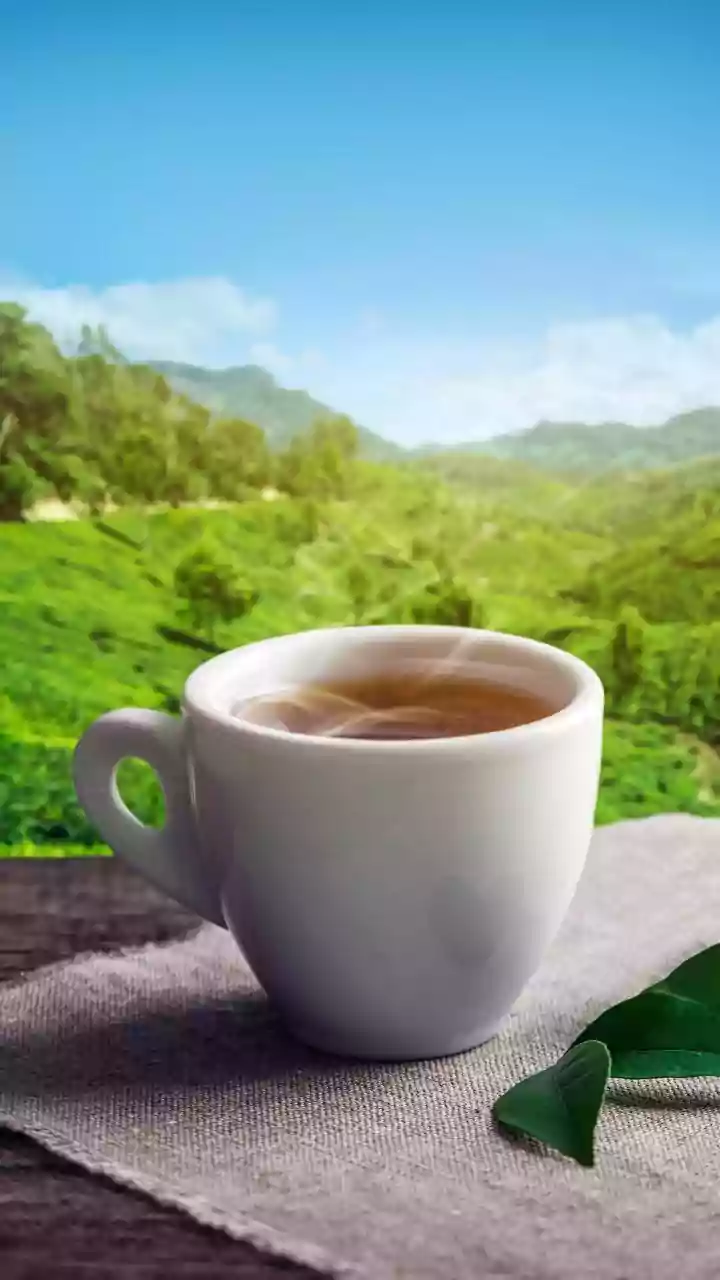 How Regional Indian Teas Are Transforming Home Beverage Mixology Trends Today