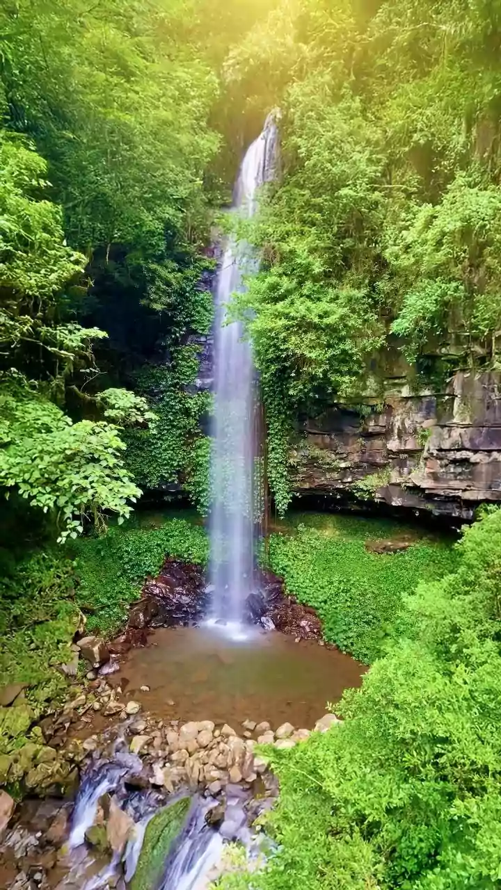 Fayetteville, WV: A Spring Escape with Wildflowers and Waterfalls