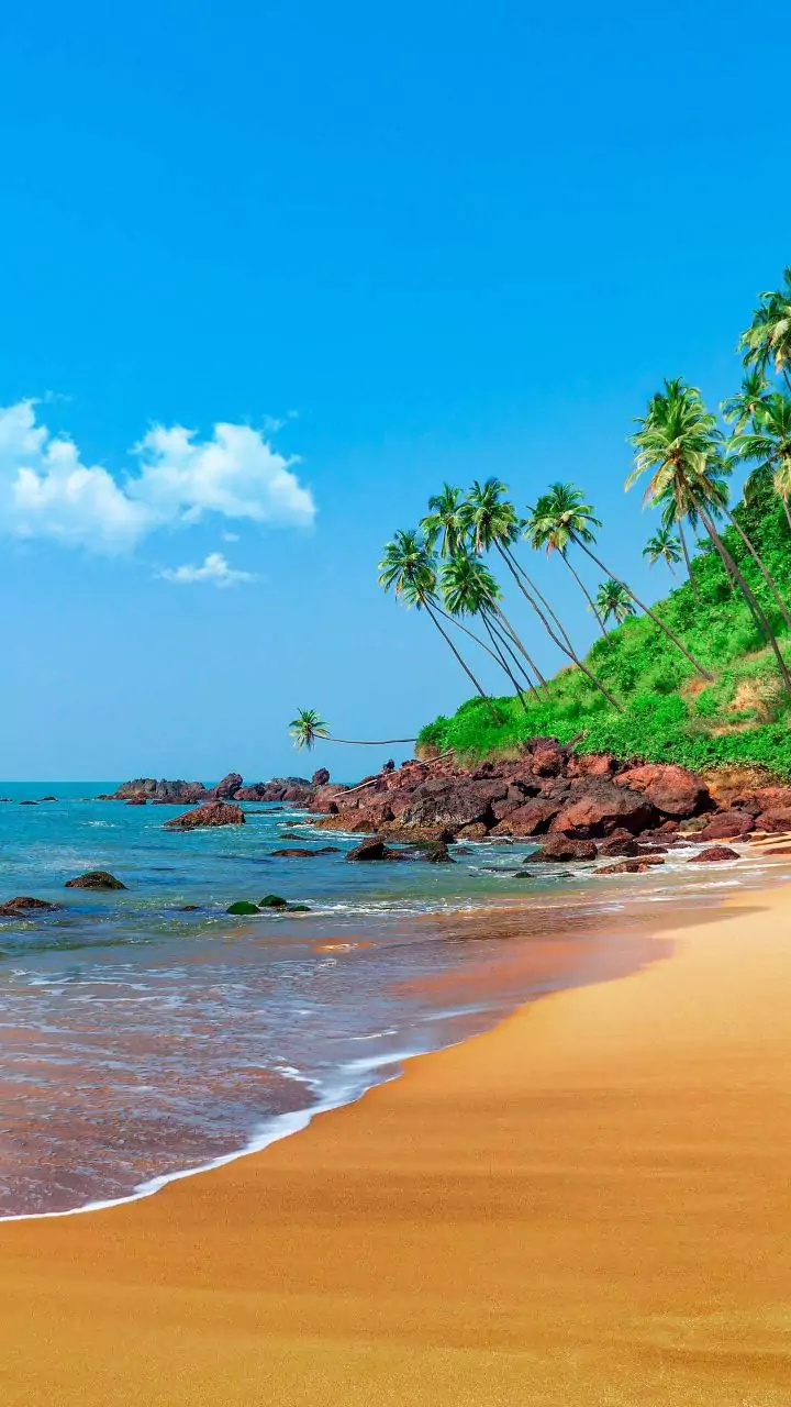 2 days after dismal show in Zilla Panchayat polls, AAP removes its Goa president Palekar