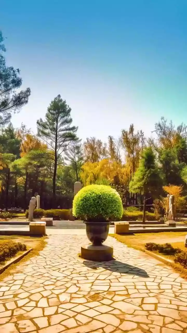 Plato's Wisdom: Mastering Anger by Knowing What You Can and Cannot Control