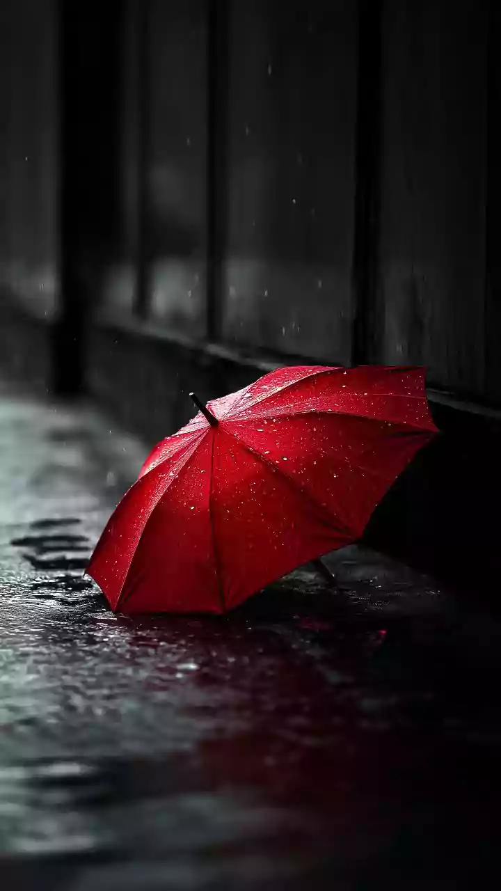 Tamil Nadu Heavy Rain: Alert For Southern, Western Districts As Monsoon Gains Ground